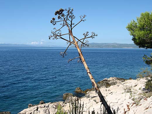 Makarska 07 - Photo by Duje Antonini